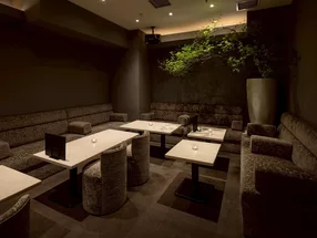 BAR LOUNGE RUDAN 5
